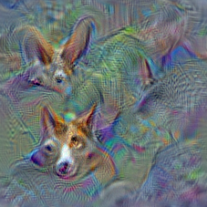 n02113023